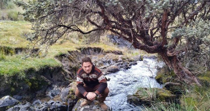 Уважаемые проектировщики, а знакомы ли вам следующие ситуации?